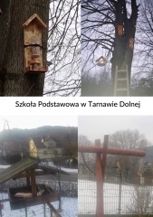 SP Tarnwa Dolna