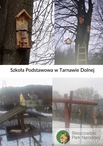 SP Tarnwa Dolna.jpg