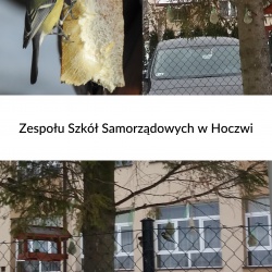 ZSS Hoczew